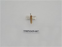 藏品(黃達頂苔蛾)的圖片